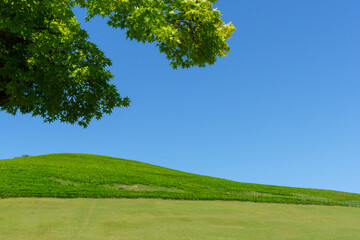 Obraz premium 日本の観光地である奈良の若草山の風景