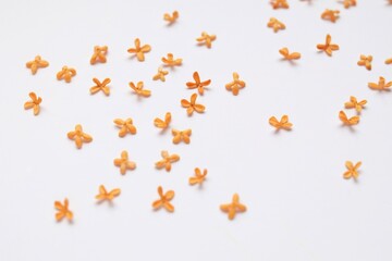 金木犀を散りばめて.....