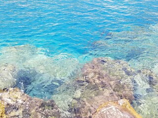 coral reef and sea