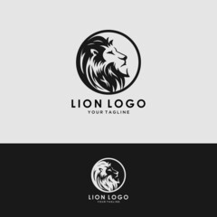 Vector illustration of a lion logo, emblem design.