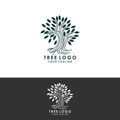 Abstract living tree logo design, roots vector - Tree of life logo design inspiration isolated on white background