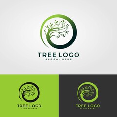 Abstract living tree logo design, roots vector - Tree of life logo design inspiration isolated on white background