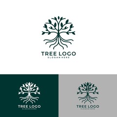 Abstract living tree logo design, roots vector - Tree of life logo design inspiration isolated on white background