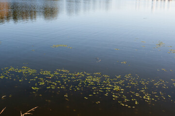 photograph of a lake at dusk