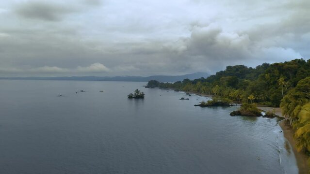 Pacific Coast With Rainforest