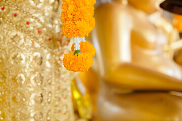 close-up buddha background