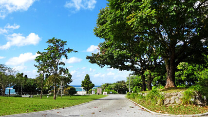 Fototapeta na wymiar 海洋博公園 駐車場からエメラルドビーチに抜ける道 沖縄
