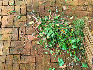 Sweep foliage when the area needs to be cleared