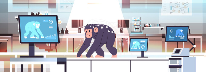 experimental monkey in modern veterinary clinic or lab analyzing health biological genetic engineering research © mast3r