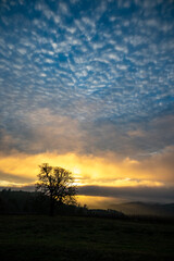 Fototapeta na wymiar A solitary oak tree is a silhouette in front of a glowing sunset sky in Oregon, textured clouds and strong light against clouds and fog.
