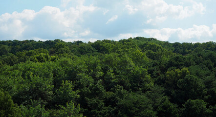 Obraz premium 파란하늘과 구름 그리고 산