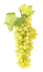 Obraz premium Grape cluster with leaves isolated on the white background