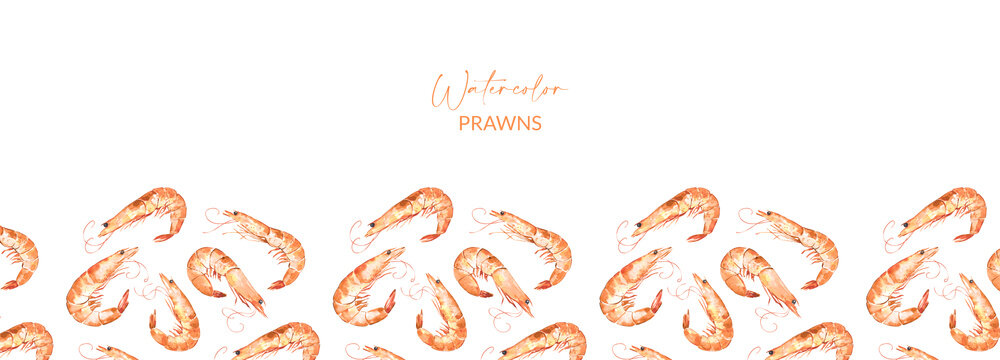 Banner with watercolor illustrated prawns