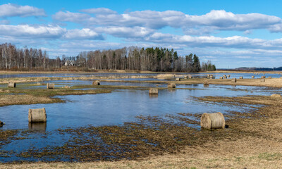 flooded meadow with hay rollers © ANDA