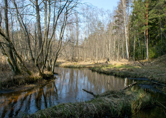spring landscape with a small wild river, bare trees, reflections in the water, dry grass on the river banks, Stikupe, Vaidava, Latvia