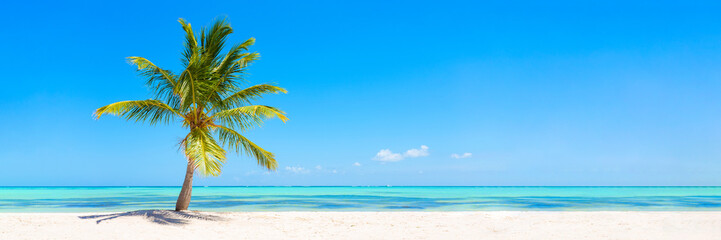 Panorama banner photo of idyllic tropical beach with palm tree - obrazy, fototapety, plakaty