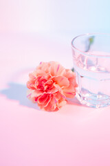 カーネーション　幻想的