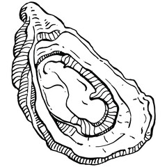 Oysters vector with engraving style illustration of logo or emblem for design seafood menu, lunch. Classic American steakhouse or French bistro appetizer.