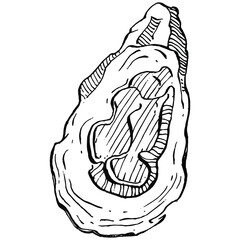 Oysters vector with engraving style illustration of logo or emblem for design seafood menu, lunch. Classic American steakhouse or French bistro appetizer.