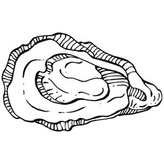 Oysters vector with engraving style illustration of logo or emblem for design seafood menu, lunch. Classic American steakhouse or French bistro appetizer.