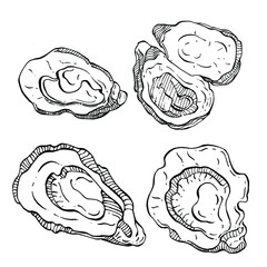 Oysters vector with engraving style illustration of logo or emblem for design seafood menu, lunch. Classic American steakhouse or French bistro appetizer.