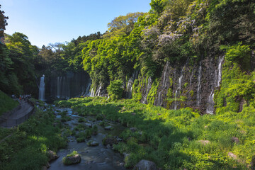 静岡県の白糸の滝