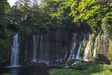 Fototapeta na wymiar 静岡県の白糸の滝