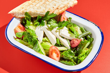 Vegetarian green salad on trendy red background with hard shadow. Green bowl with vegetables and tofu in minimal style. Contemporary food menu. Healthy food in modern concept.