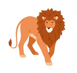 Lion walking. Wild feline animal with shaggy mane, hairy head going and looking ahead. African male leo, jungle king carnivore. Flat vector illustration isolated on white background