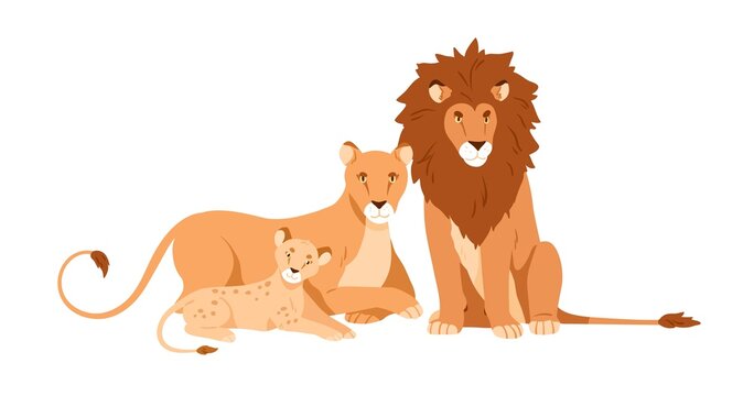 Lion, lioness and baby cub. Wild feline animals family. Leo father, mother and child lionet together, portrait. African jungle characters. Flat vector illustration isolated on white background