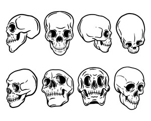 8 Deadly Hand Drawn Skull
