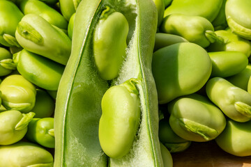 Both broad bean pods and shelled seeds. Healthy organic green raw broad beans.