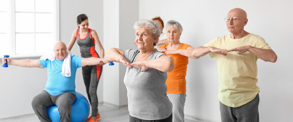 Group of elderly people doing exercises in gym
