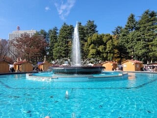 Obraz na płótnie Canvas fountain in the park