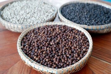 Agriculture. Cambodia.  Daily life. Asia.