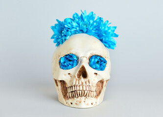 Human skull with flowers on grey background