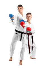 Boy practicing karate with instructor on white background © Pixel-Shot