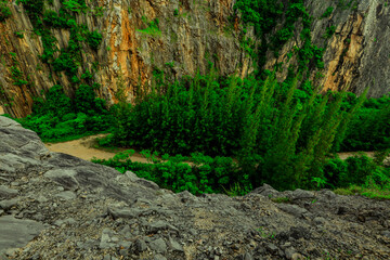 panoramic background of high mountain scenery, overlooking the atmosphere of the sea, trees and wind blowing in a cool blur, spontaneous beauty