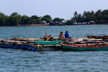 Daily life. Vietnam.