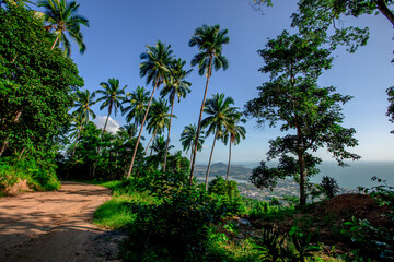 Obraz premium panoramic background of high mountain scenery, overlooking the atmosphere of the sea, trees and wind blowing in a cool blur, spontaneous beauty