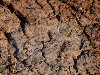 A drought that relates to climate change and result in shortage of water.Land with dry and cracked ground.Global warming background - Image