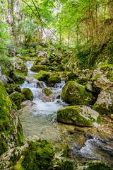 Les Gorges du Nant à Cognin-les-Gorges