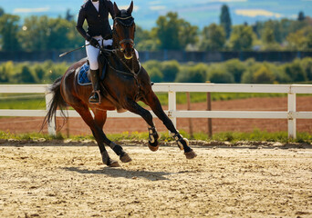 Jumping horse with rider during the test in the gallop in the turn..