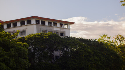 Fototapeta na wymiar University of the Philippines Campus building with trees as foreground