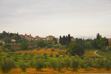 Fototapeta na wymiar Chianti, panorami di colline coltivate a vigneto