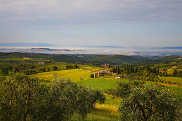 Fototapeta na wymiar Chianti, tipico panorama collinare