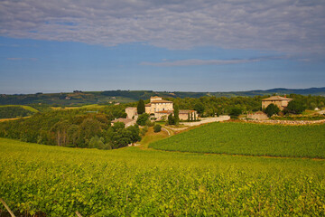 Chianti, panorami di colline coltivate a vigneto