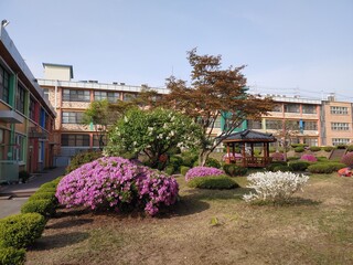 Obraz premium School in south Korea with Sunny Weather