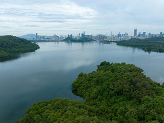Beautiful landscape in forest at the lakeside