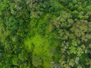 Naklejka premium Aerial view of beautiful forest mountain landscape